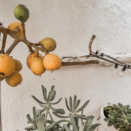 Apartman Apartamento C-alma En El Corazon De Vejer Vejer de la Frontera